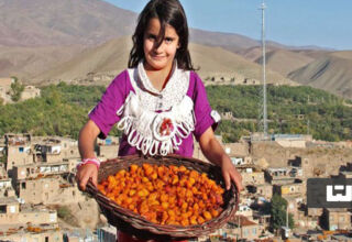 شهر آلوی ایران