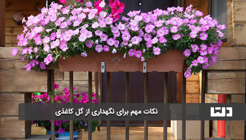 نگهداری در ظروف شیشه‌ای