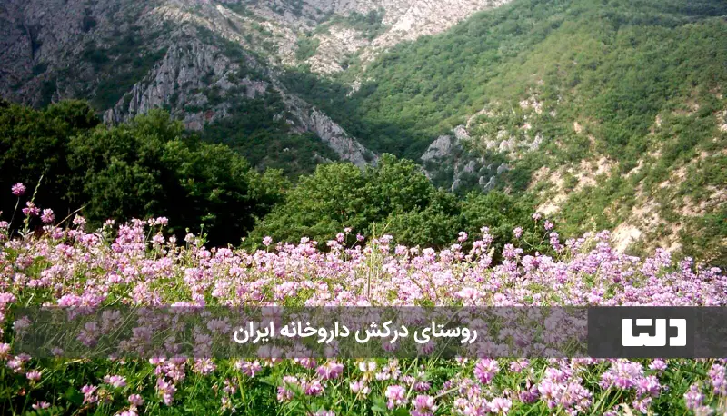 روستای درکش