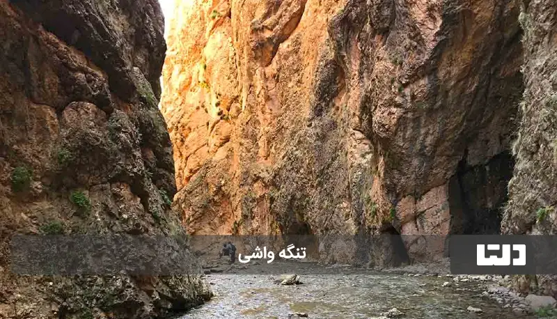 تنگه واشی