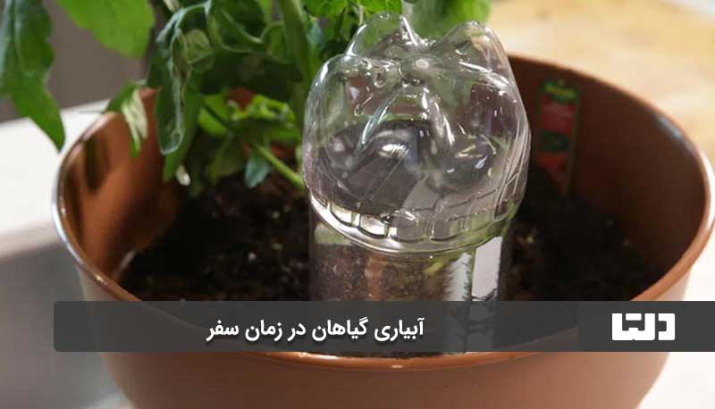 مراقبت از گیاهان قبل از سفر