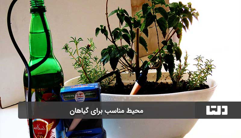 محیط مناسب برای گیاهان