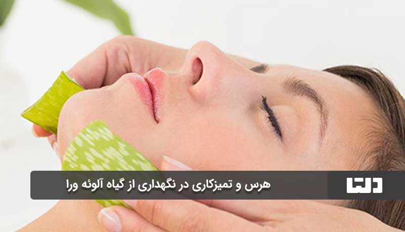 مشکلات رایج