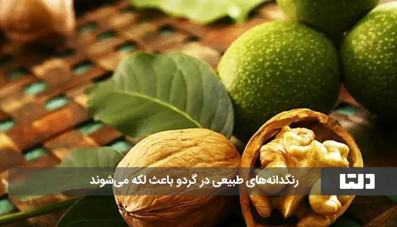 لکه پوست گردو