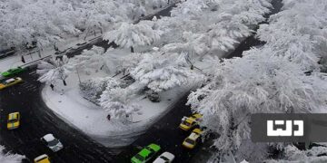 محله بلوار کشاورز