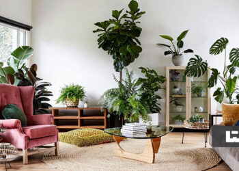 به‌روزترین چیدمان گل و گیاه در منزل