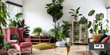 به‌روزترین چیدمان گل و گیاه در منزل