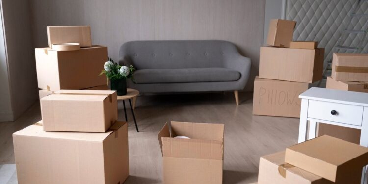 کارتن برای اسباب کشی