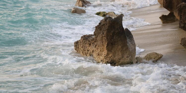 اقامت در کیش