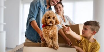 حیوان خانگی در آپارتمان