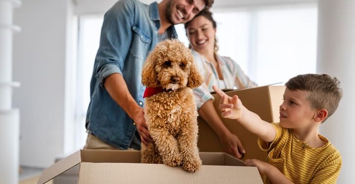 حیوان خانگی در آپارتمان