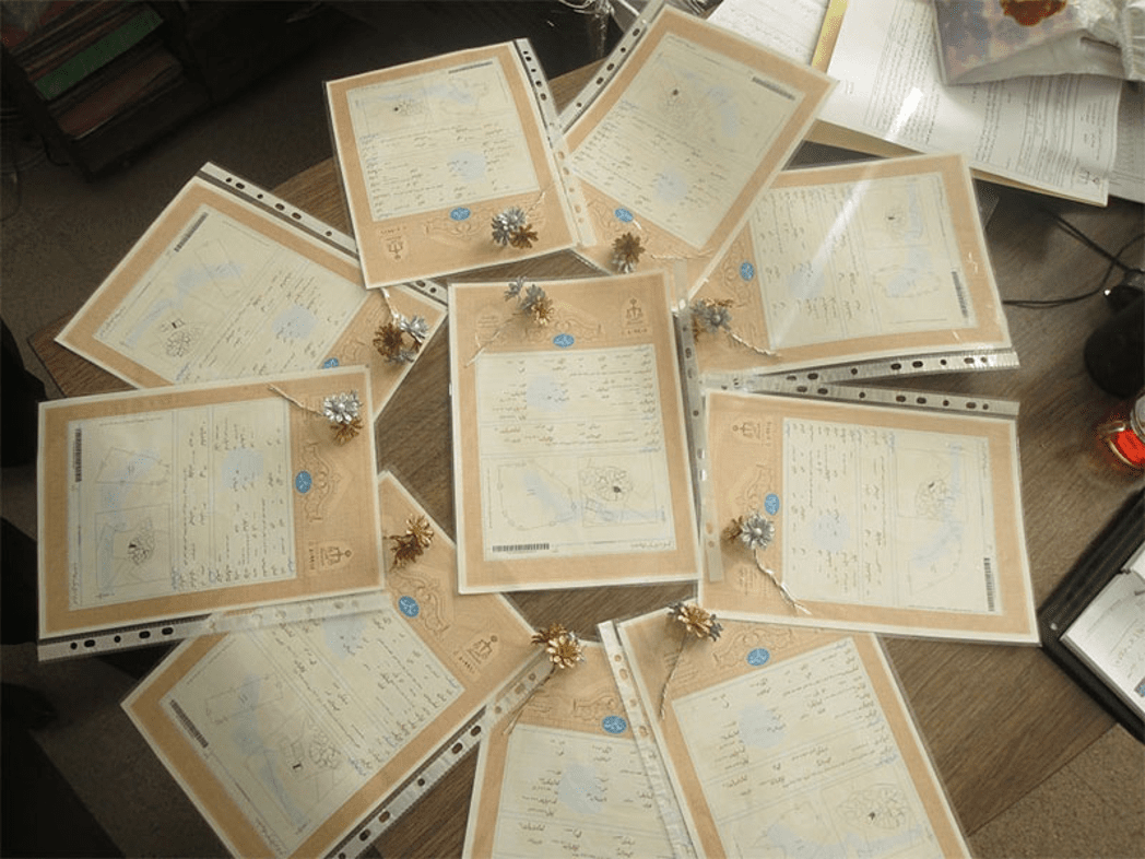 سند تک برگی ملک