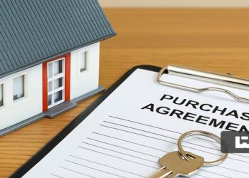 تنظیم قولنامه