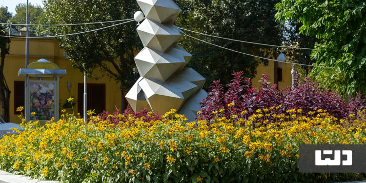 شیراز جنوبی