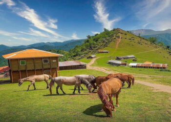 جاذبه‌ها و جاهای دیدنی شاندرمن ماسال