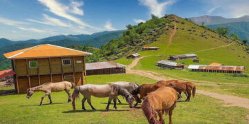 جاذبهها و جاهای دیدنی شاندرمن ماسال
