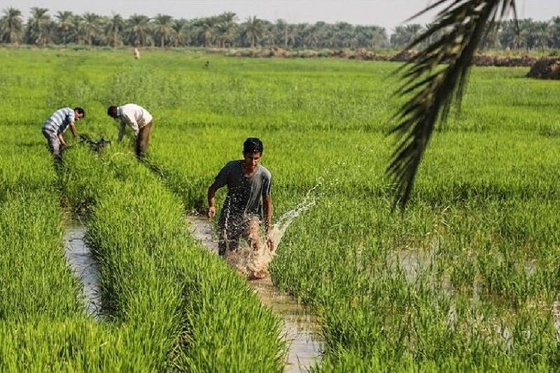 مهم‌ترین عوامل تاثیرگذار بر روی قیمت نهایی تعیین شده برای زمین کشاورزی