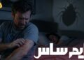 علائم ساس در منزل چیست؟ تمام نشانه های حضور ساس خانگی