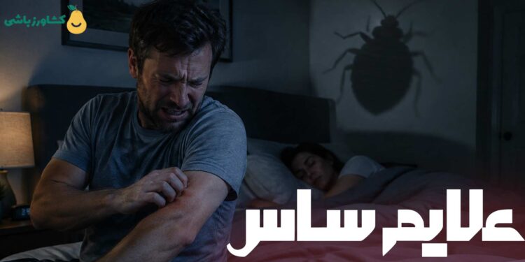 علائم ساس در منزل چیست؟ تمام نشانه های حضور ساس خانگی