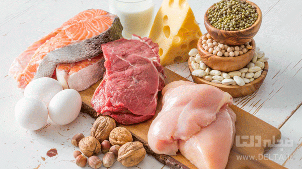 پروتئین-و-رژیم-چاقی