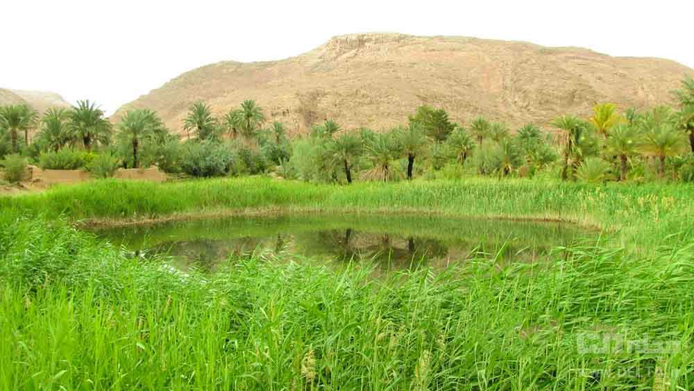 طبیعت روستای کویر مصر