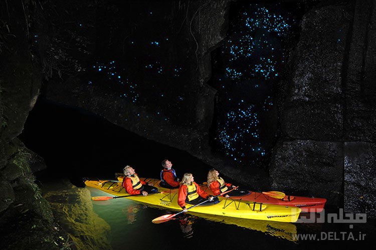 غار Glowworm(کرم شب‌تاب)، نیوزیلند جاذبه های گردشگری عجیب دنیا