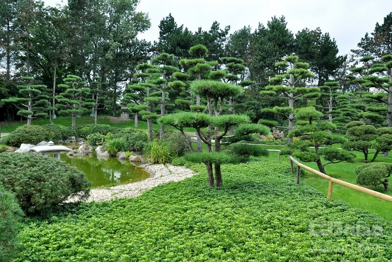 باغ ژاپنی نُردپارک جاذبه های گردشگری دوسلدروف